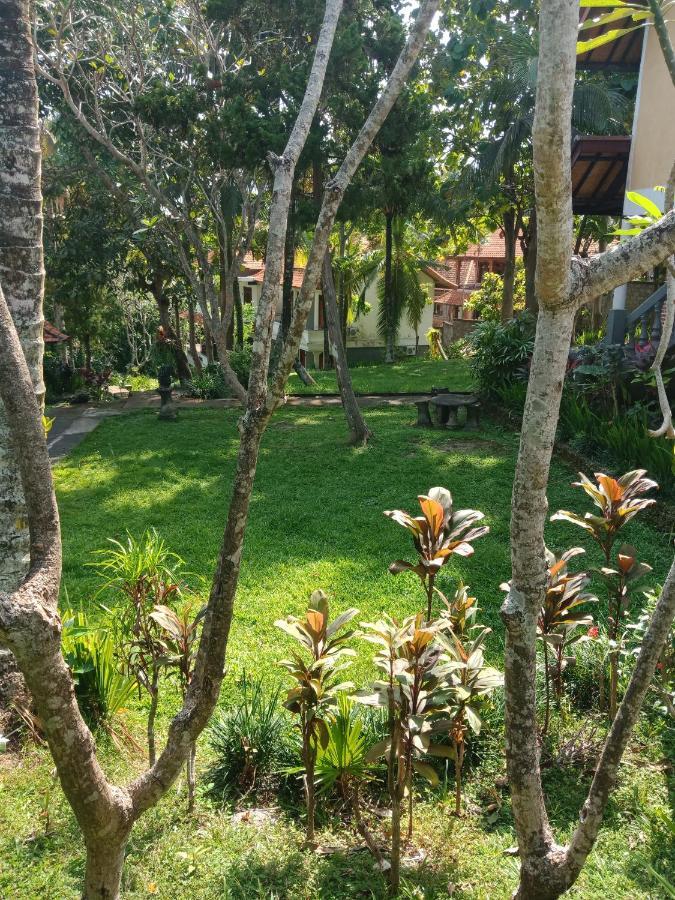 Argasoka Bungalows Ubud Zewnętrze zdjęcie