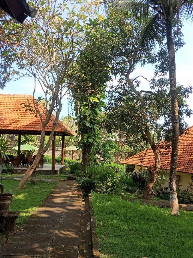 Argasoka Bungalows Ubud Zewnętrze zdjęcie