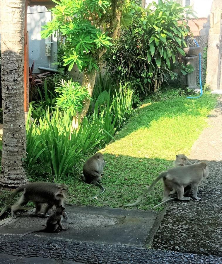 Argasoka Bungalows Ubud Zewnętrze zdjęcie