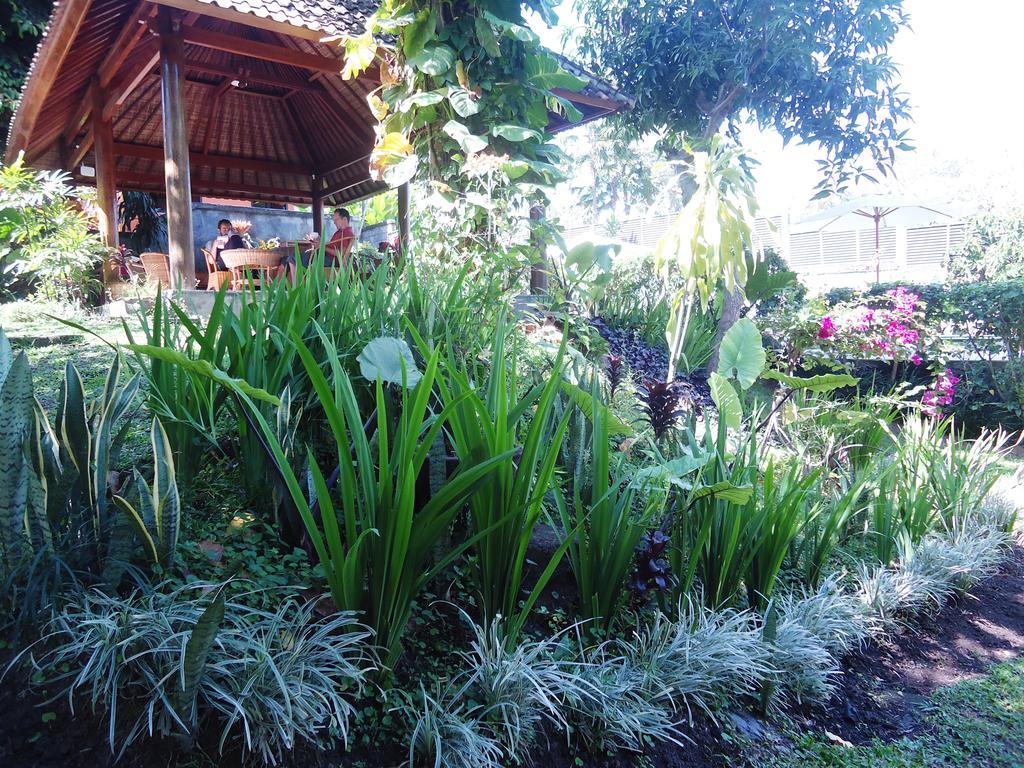 Argasoka Bungalows Ubud Zewnętrze zdjęcie