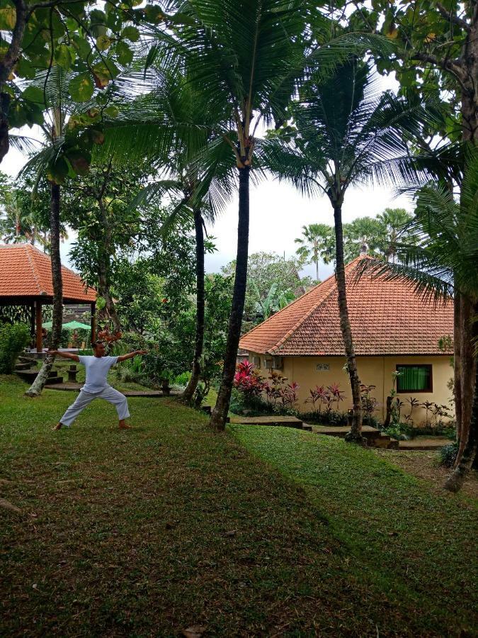 Argasoka Bungalows Ubud Zewnętrze zdjęcie