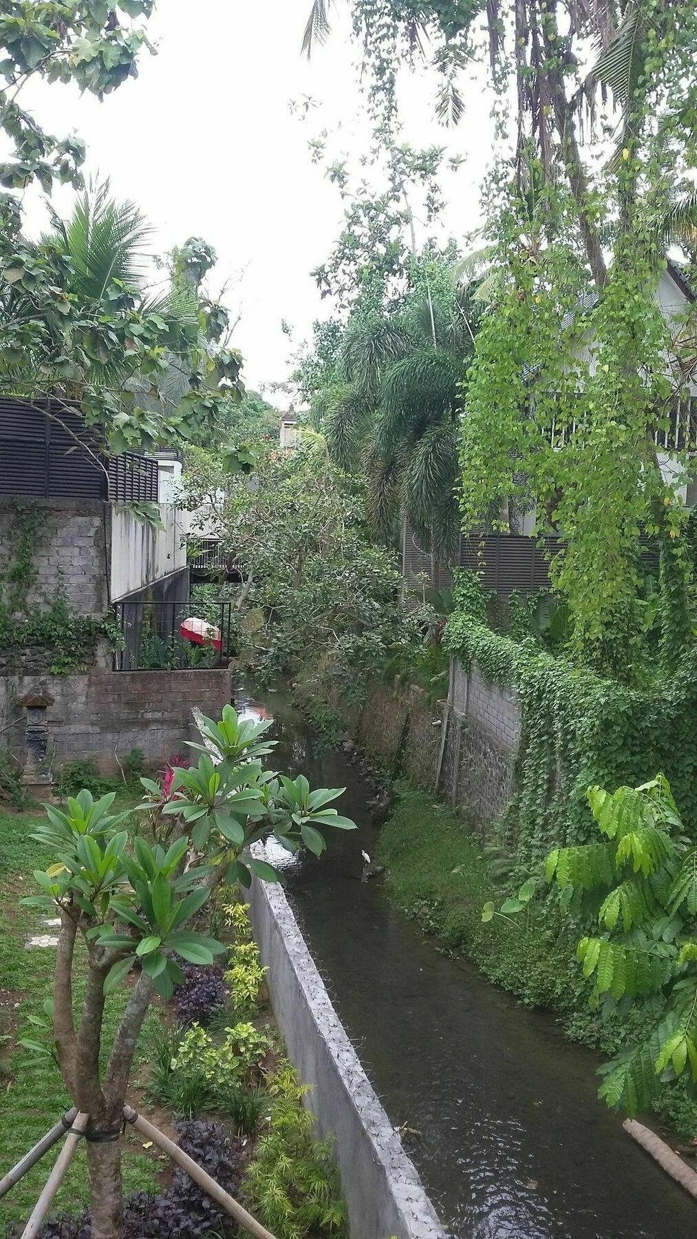 Argasoka Bungalows Ubud Zewnętrze zdjęcie