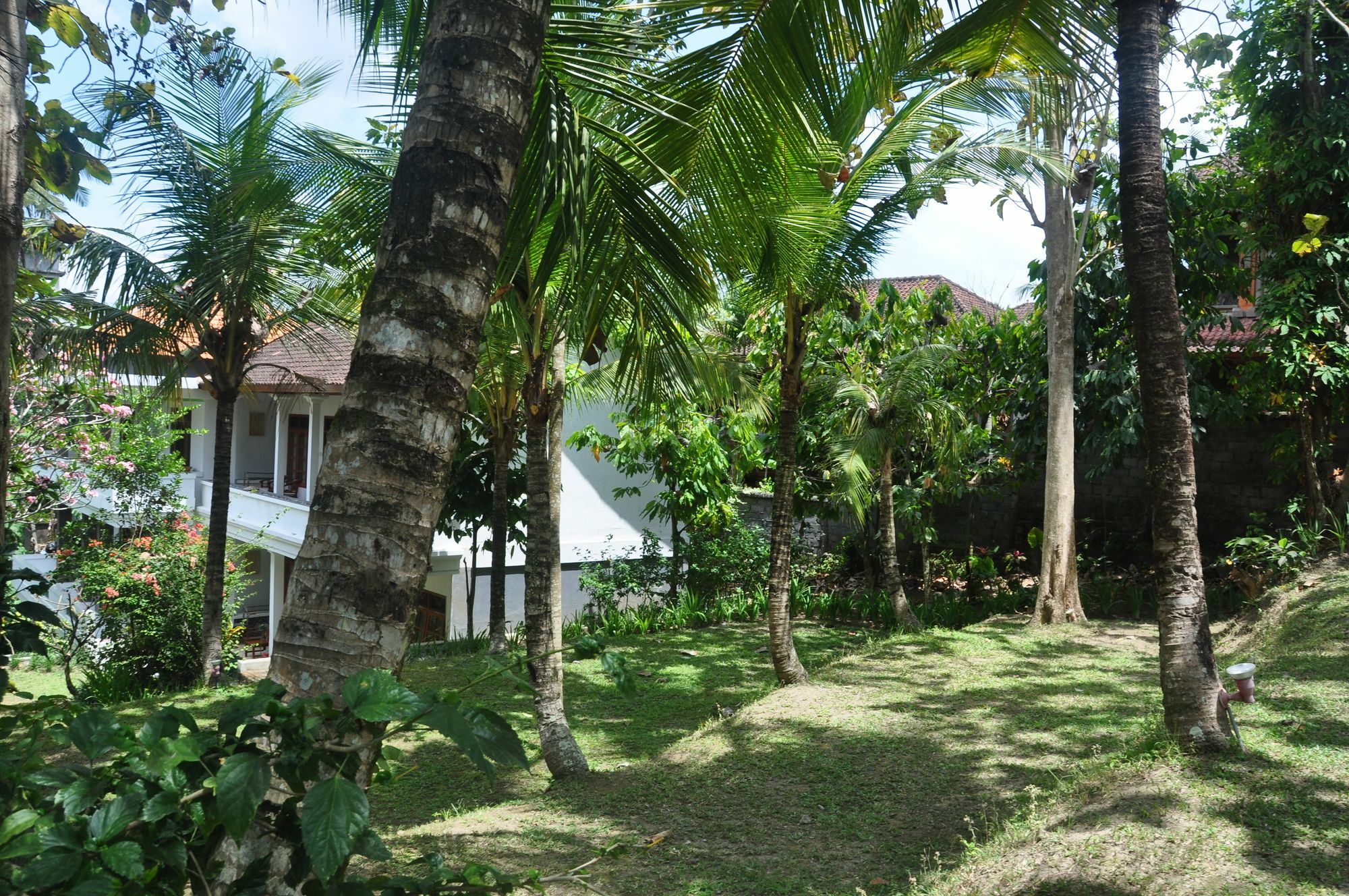 Argasoka Bungalows Ubud Zewnętrze zdjęcie